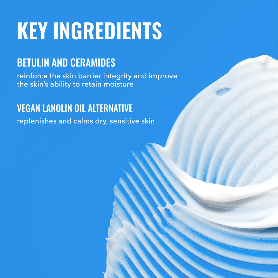 rich-cream-with-ceramides-r7 zb_p.jpg